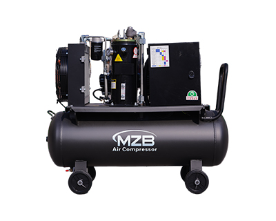 Screw air compressor